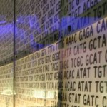 1140x400 DNA slide